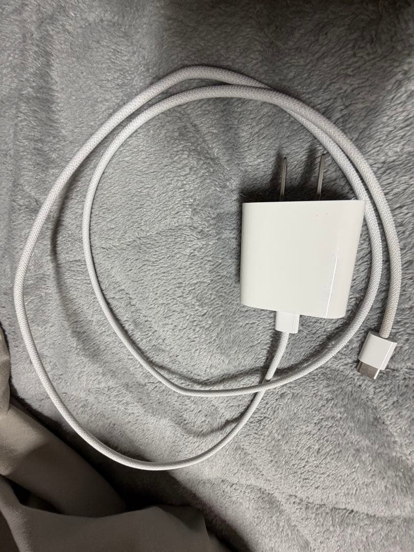 iPad本体 Ipad Air 11 inc M3 256gb (2025)