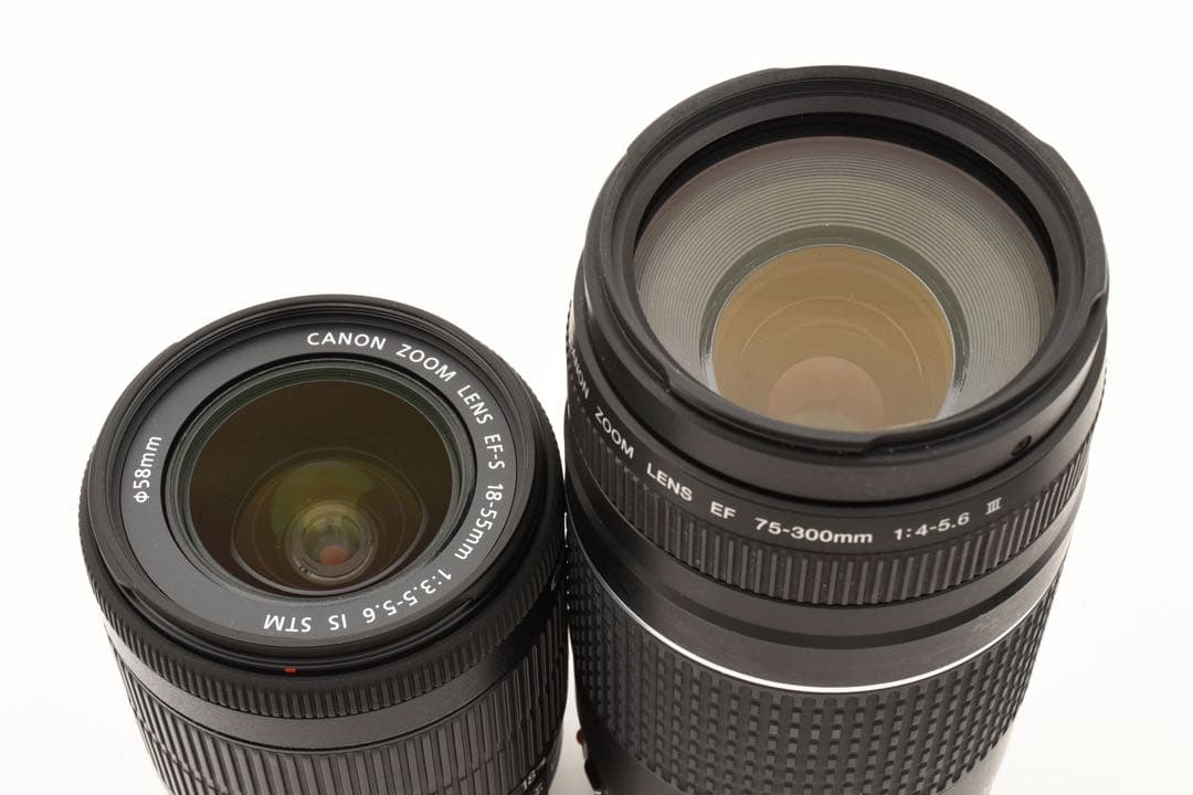 Canon EOS 80D/約2420万画素/標準&望遠ダブルレンズセット