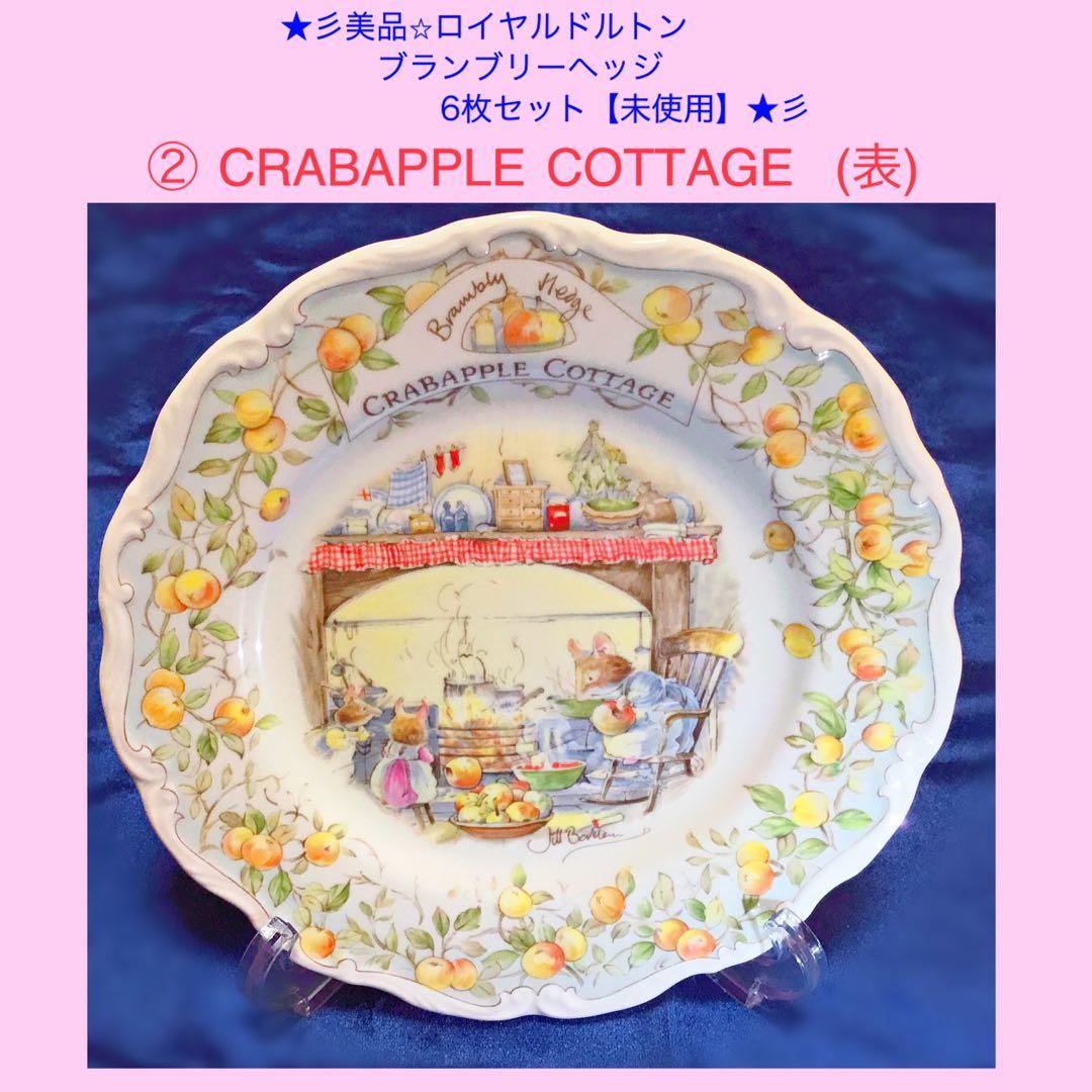 ★彡【美品/未使用】ブランブリーヘッジ 絵皿 《5枚＋1枚おまけ付き》セット★彡