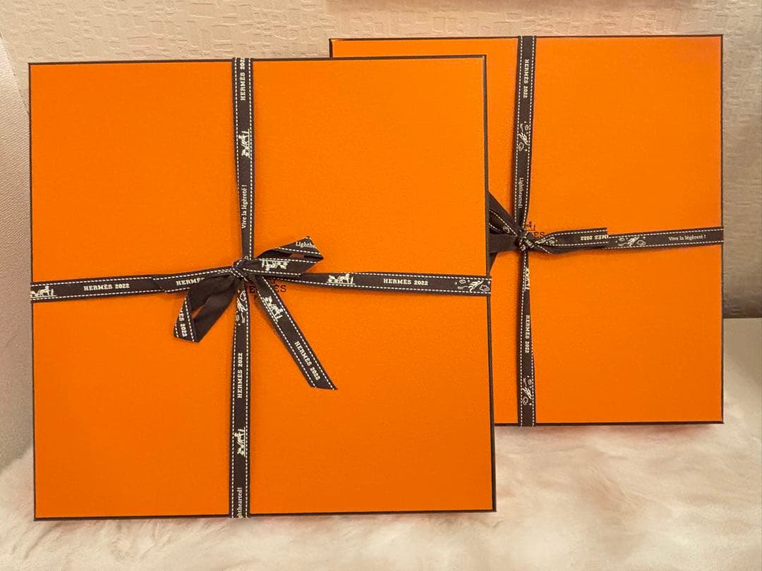 新品 エルメス HERMES パシフォリア 大皿 お皿 2枚