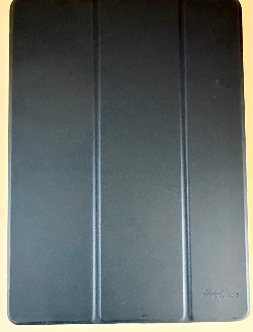 iPad Pro 12.9 第2世代 256GB Apple Pencil付