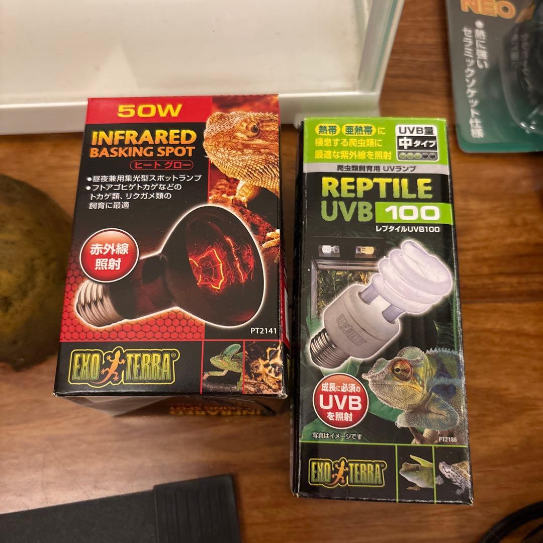 両生類飼育セット