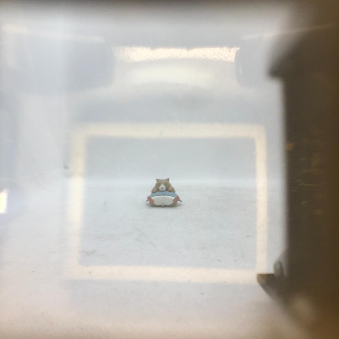 【C7194】ZEISS IKON SUPER IKONTA 531