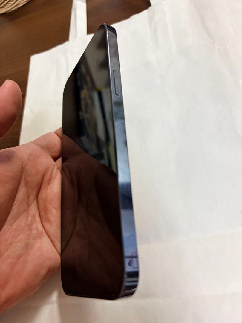 iPhone 13 Pro Max シエラブルー 256GB(SIMフリー)