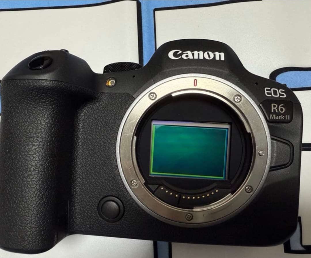 デジタルカメラ canon R6 mark2