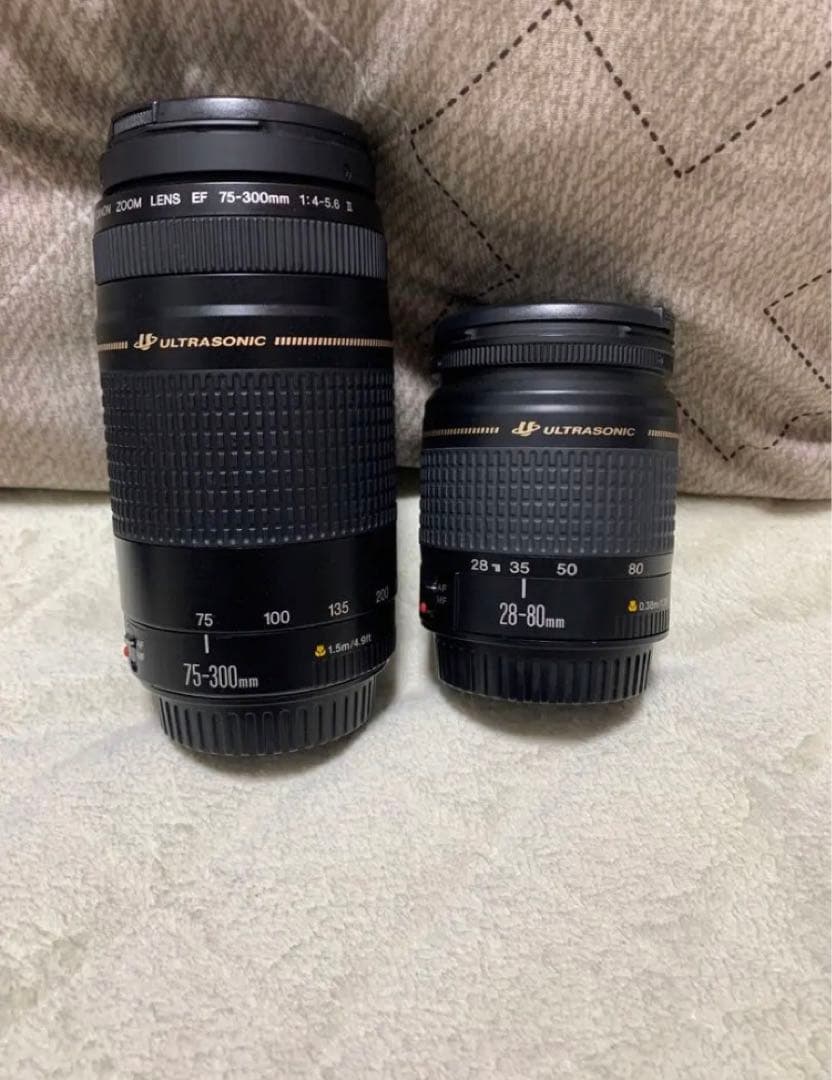 キャノン☆Canon EOS 5D MarkIII標準&望遠ダブルレンズセット