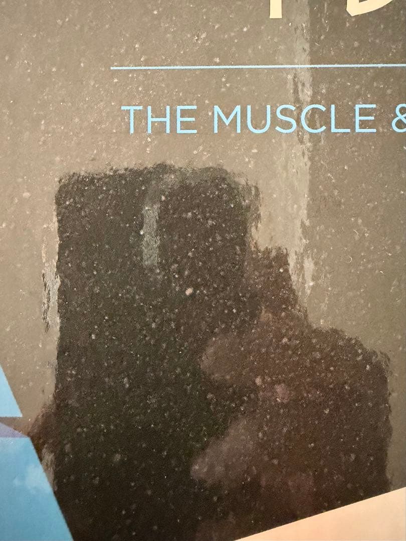 肉体改造のピラミッド 栄養編・トレーニング編