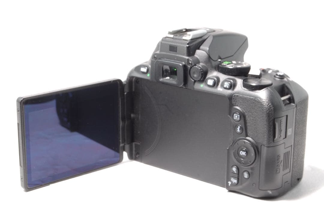美品Nikon D5600 ダブルレンズ Wi-Fi・Bluetooth機能搭載