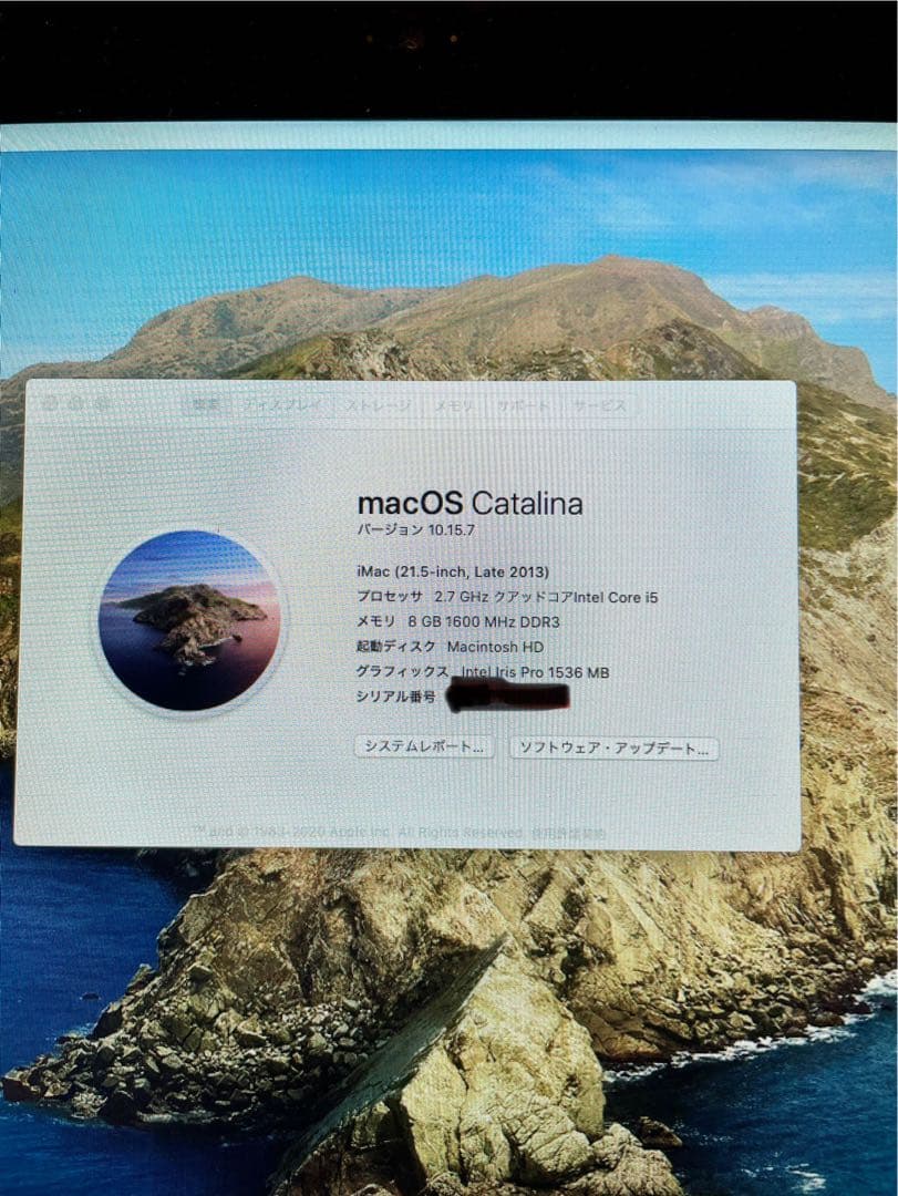 iMac 2013 late 21,5inch フルセット