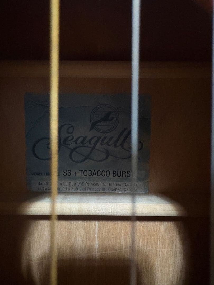 Seagull S6＋ 土日限定値下げ中