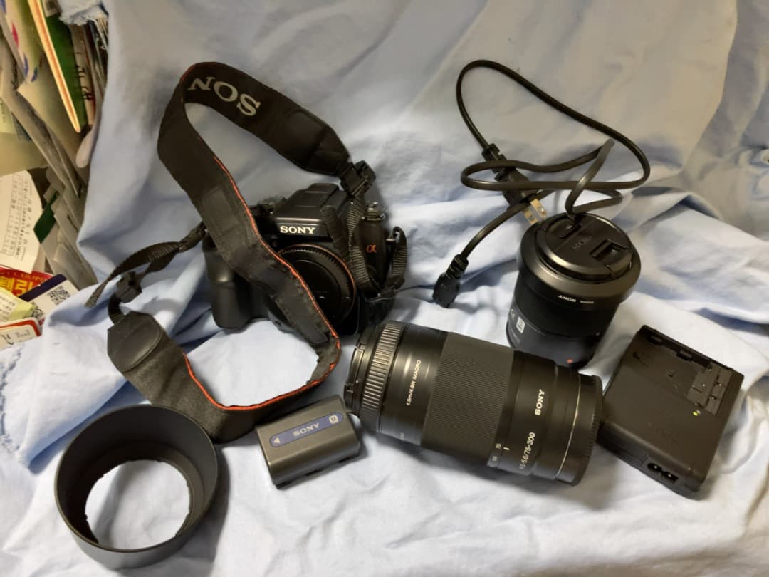 ソニーアルファ　Wレンズセット