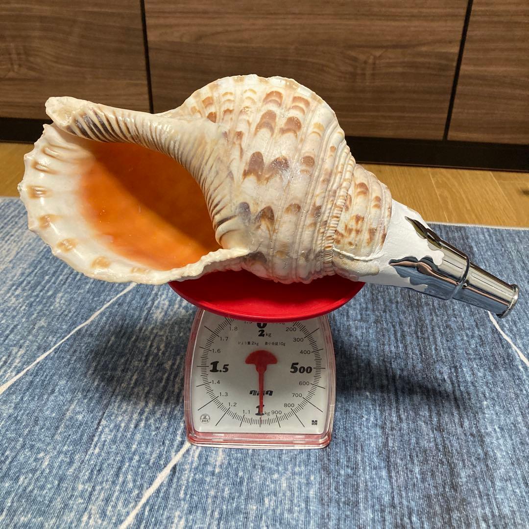 法螺貝　ホラ貝　ほら貝　修験道　山伏