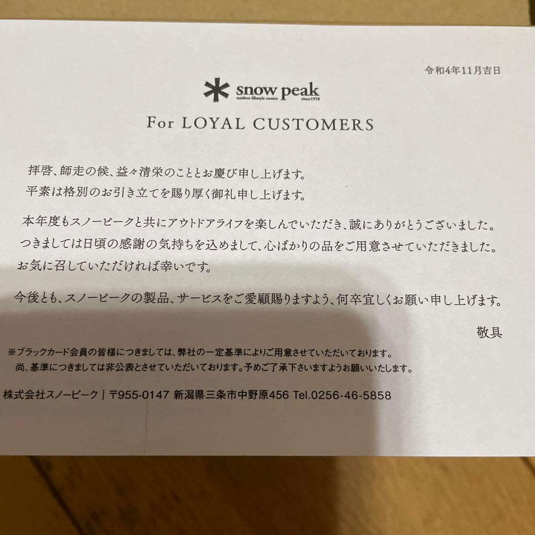 スノーピーク　スペシャルミーティング　MUG300