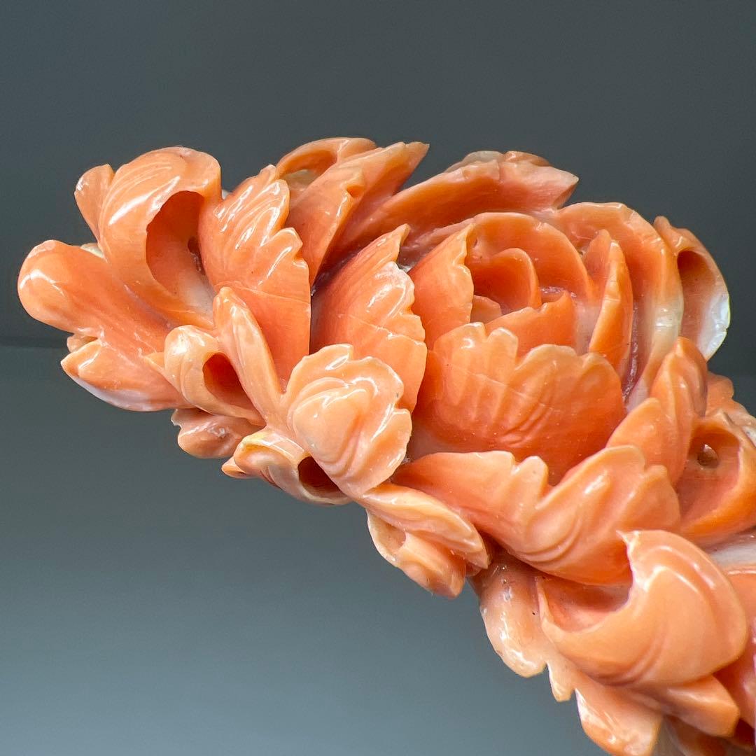 本赤珊瑚　大振バラ彫刻　31g 東Y8-0203☆2F