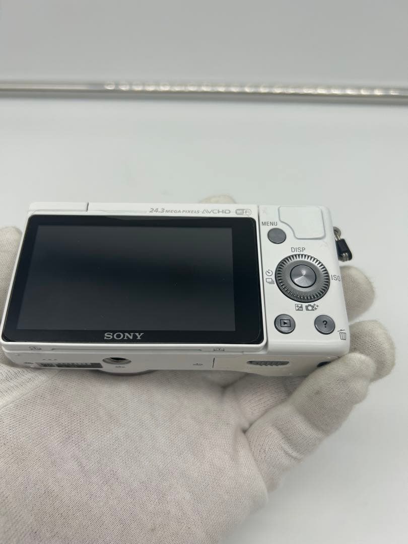 SONY α 5100 E 16-50mm シャッターカウント174