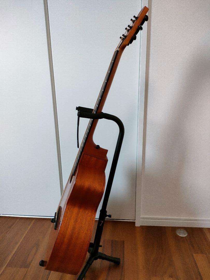 aNueNue Bird MY 20（E）アコースティックギター