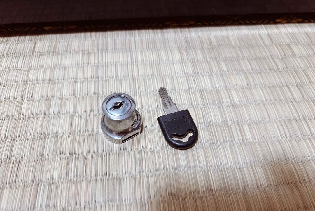 爬虫類用ケージ 三晃商会 パンテオン ブラック BK9045