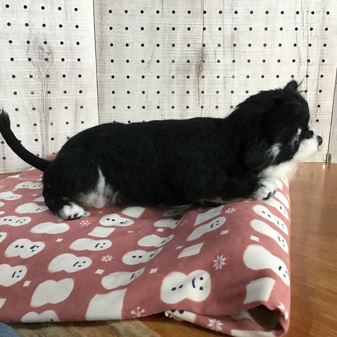 よよょ様オーダー品（チワワのももちゃん）伏せポーズ❣️