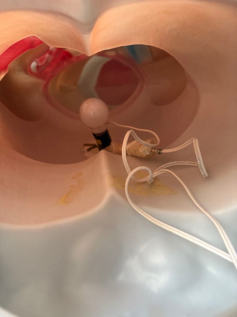 クリスマスイルミネーション　ライト　くま