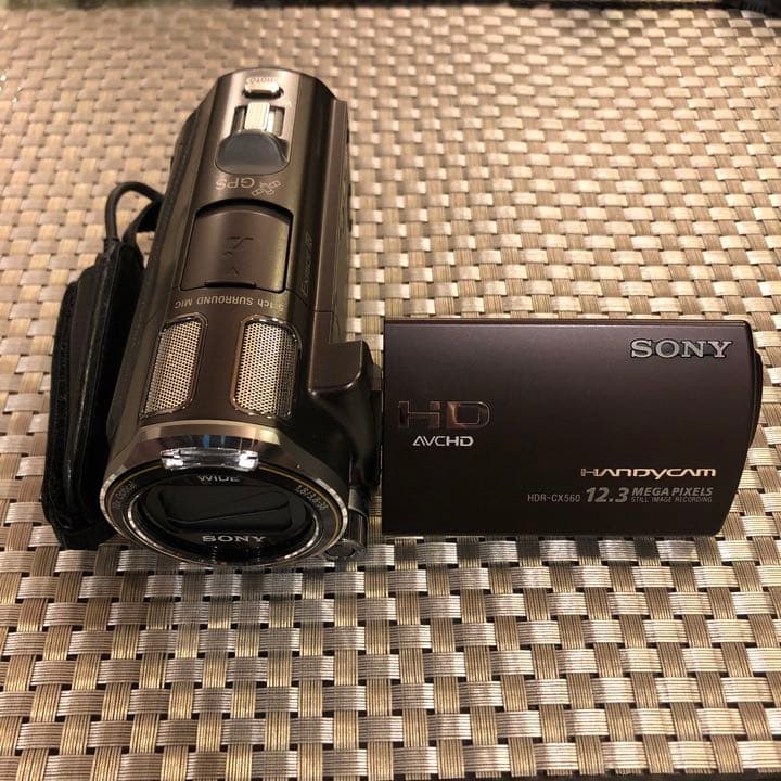 なす　SONY HDR-CX560V(T)