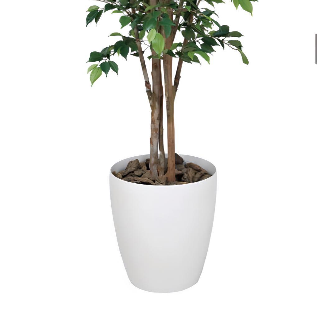 光触媒　人工観葉植物　フェイクグリーン　ロイヤルベンジャミン1.8