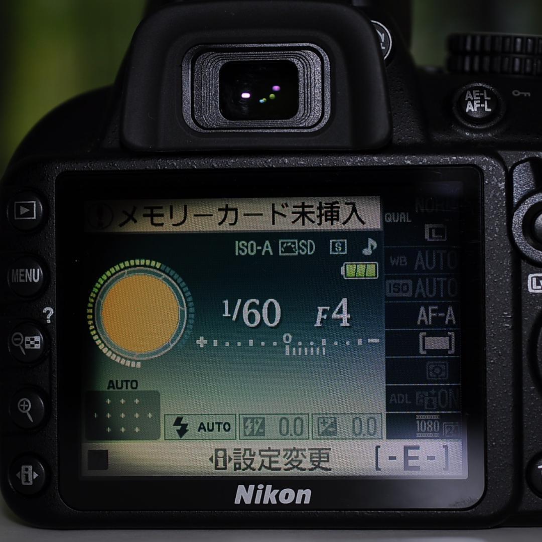 ショット数2082枚☆スマホ転送セット☆ニコン D3100☆ガイド機能つき