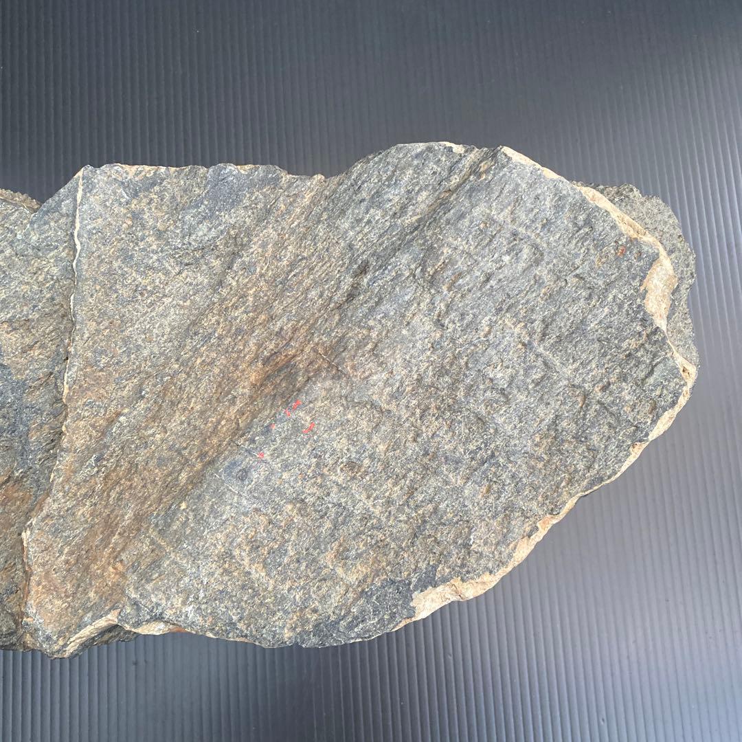 【日本三大銘石佐治石】 古代石 採石禁止石 鯨形 珍品