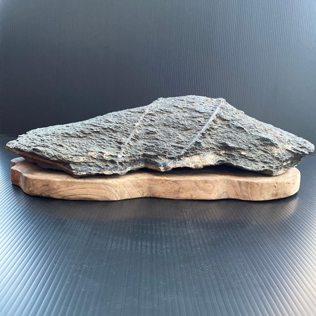 【日本三大銘石佐治石】 古代石 採石禁止石 鯨形 珍品