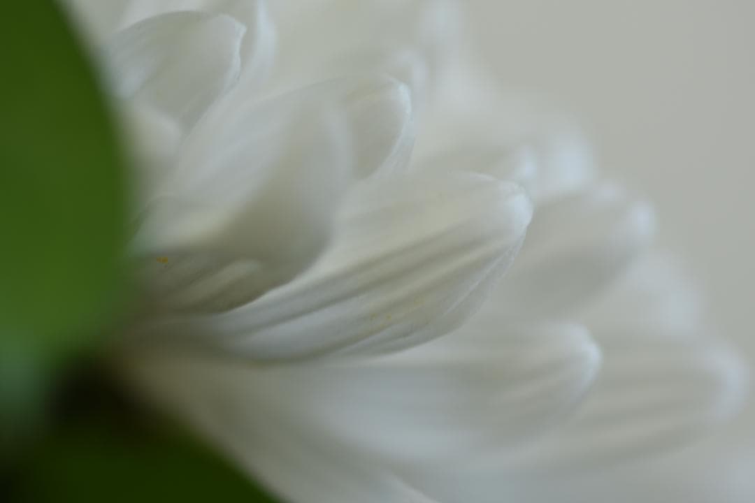 綺麗 Nikon AF MICRO NIKKOR 105mm F2.8D 化粧箱