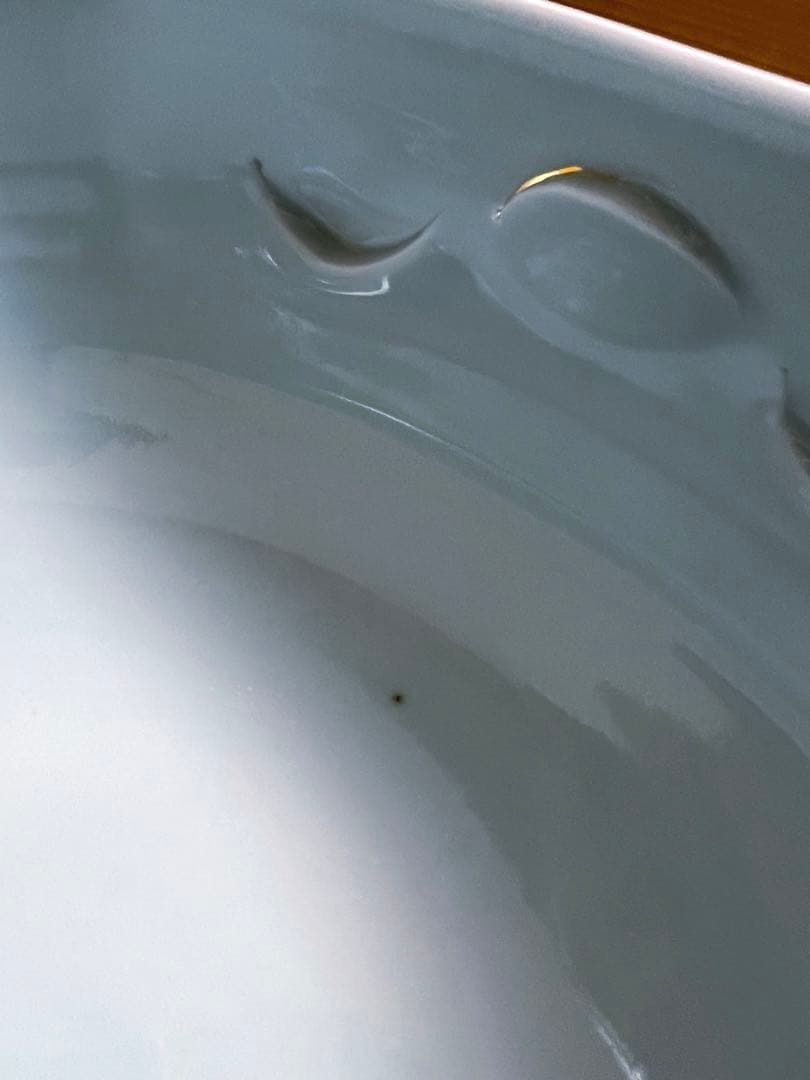 【白青磁／盛器】大皿　盛皿　器　花器　京都　陶芸家　長谷川勇　新品未使用　共箱