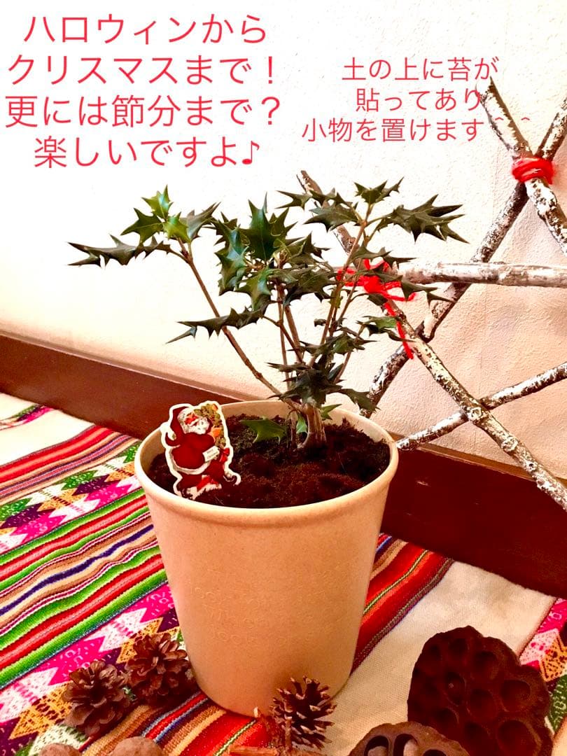 【完売】天然＊野生の可愛い柊さん/ひいらぎ/大サイズ/ハロウィンやクリスマスに