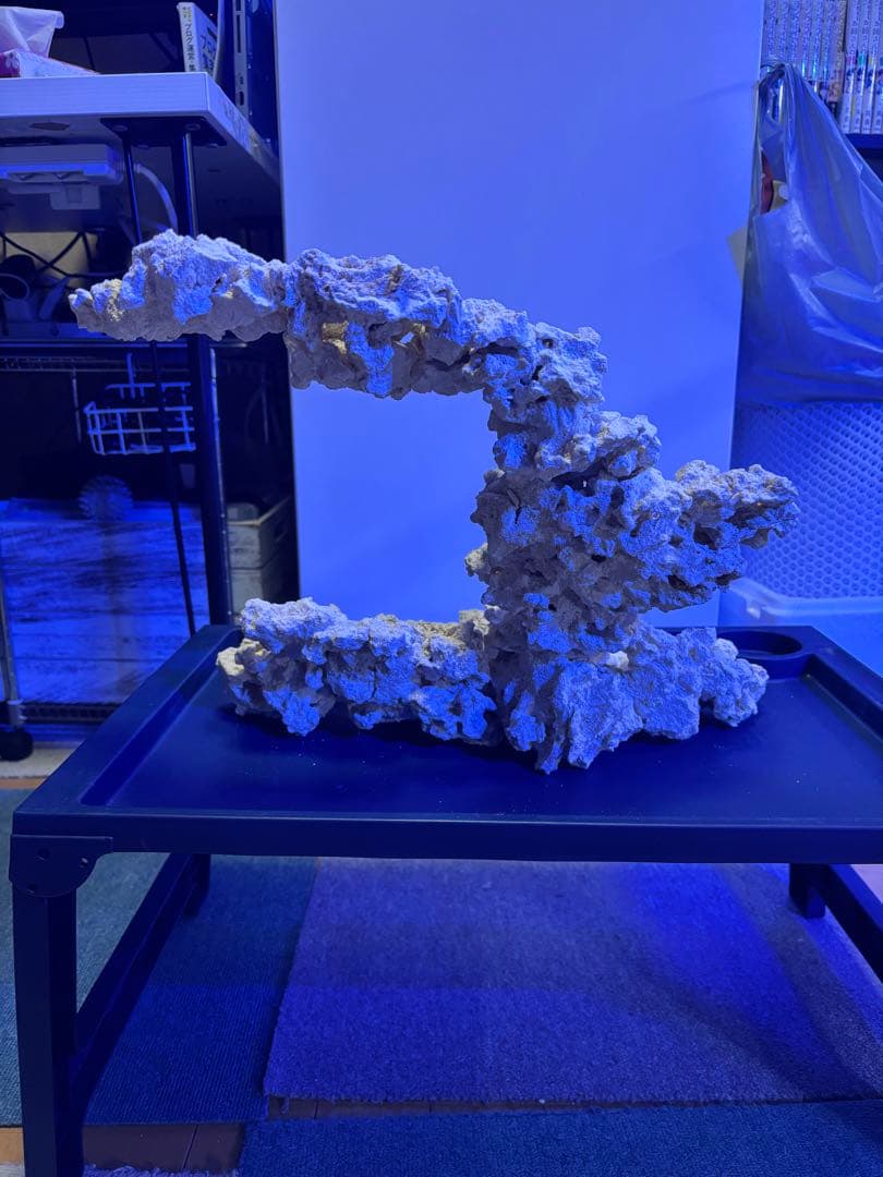 【一点物】マルコロックレイアウト品　海水・サンゴ水槽向け