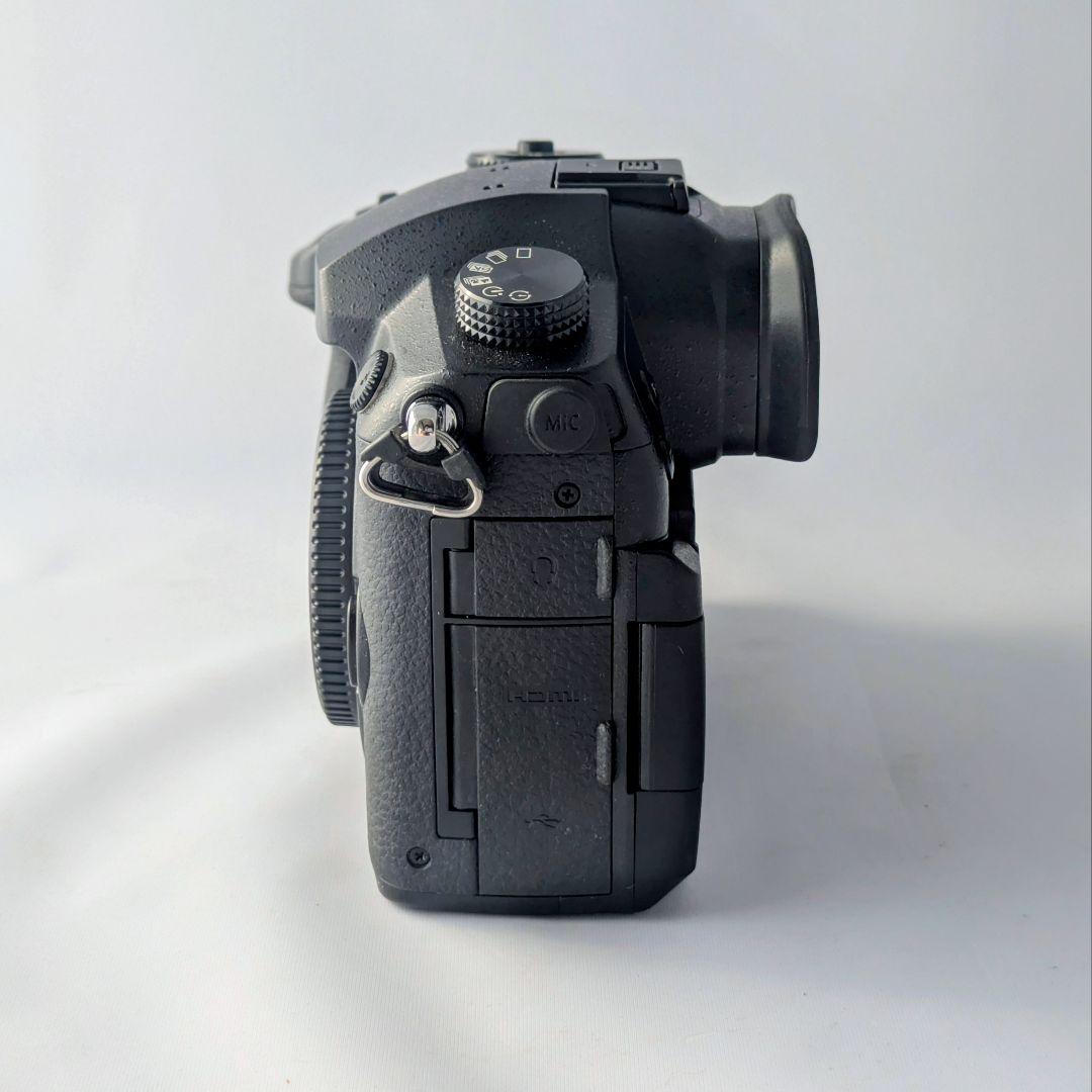 パナソニック GH5 レンズセット（箱・ケージ付き）