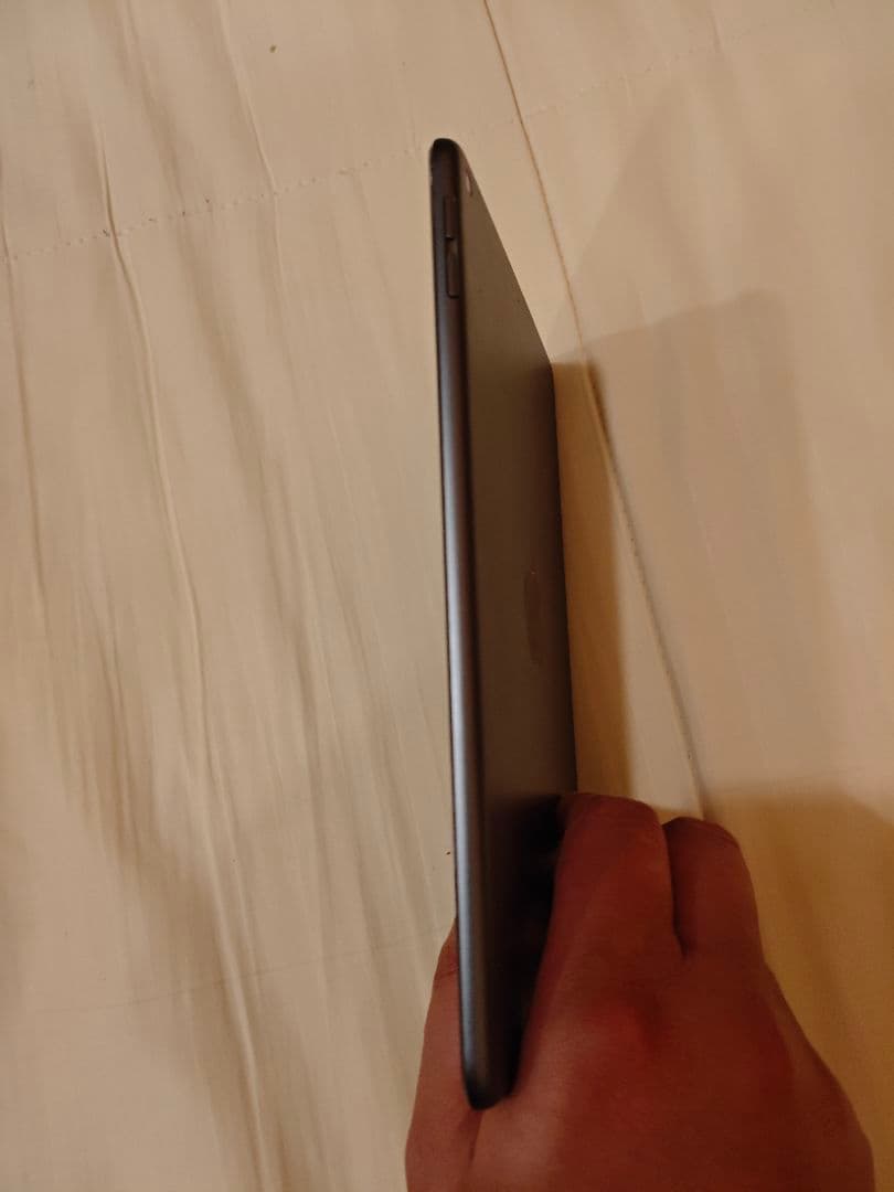 iPad mini (第5世代) 本体　256gモデル