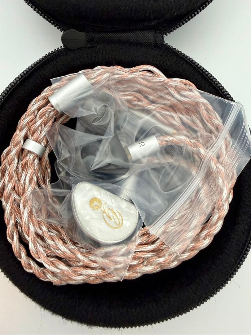 【新品 未使用】ゴスペラーズ30周年記念オリジナルイヤホン