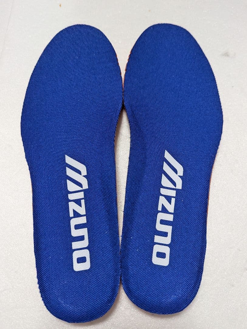 永井博×ミズノ　ウェーブライダー　ベータ