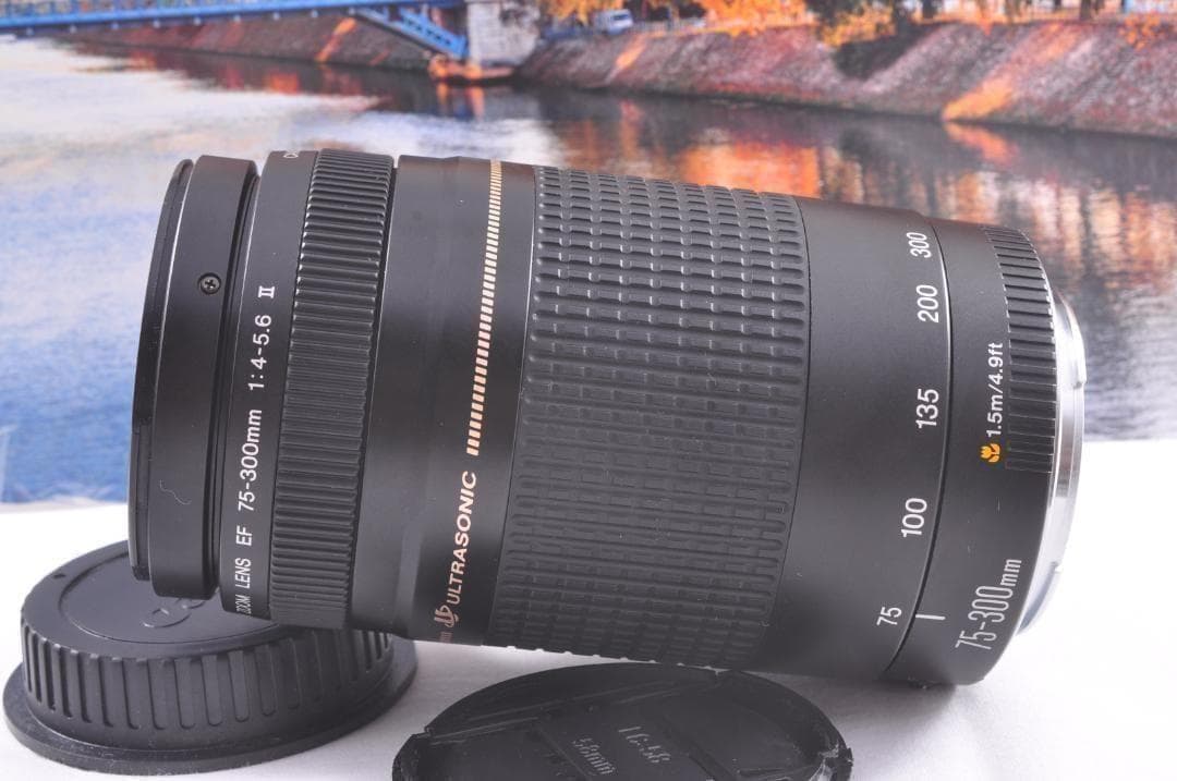 貴重な一瞬を望遠で！Canon キヤノン 望遠レンズEF75-300mm♦