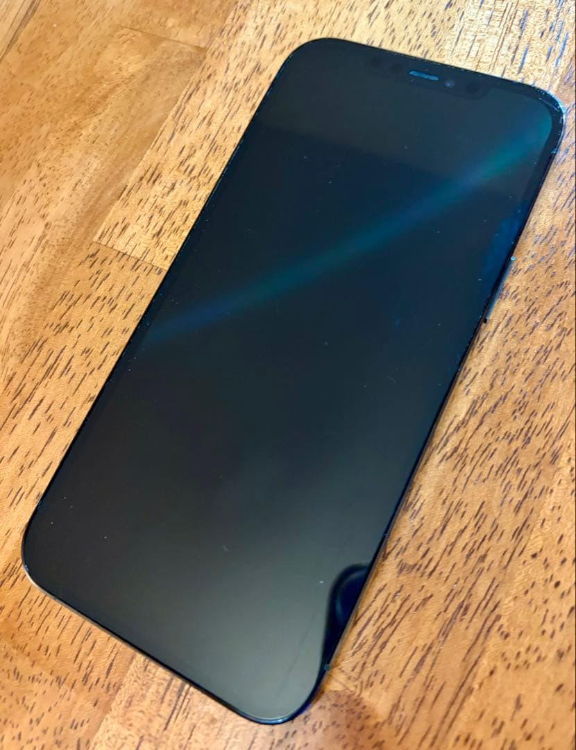 Apple iPhone 12 Pro 青 本体