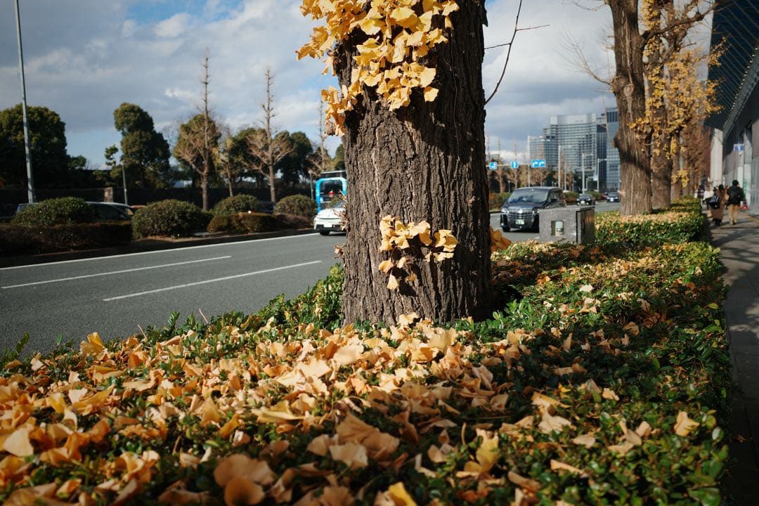 8500ショット　RICOH GR2 カメラ