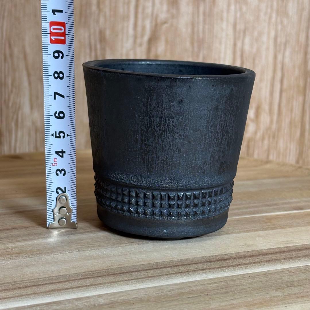 鉢・プランター Spicy gem versatile studs s