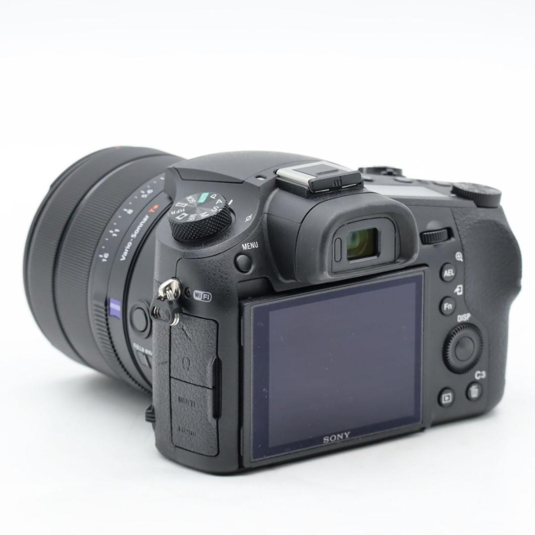 SONY Cyber-shot RX10IV　DSC-RX10M4　#3930