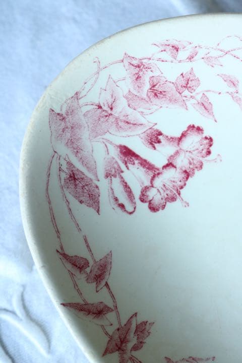 フランス　ヒルガオ　アンティーク　ラヴィエ　赤　Bordeaux