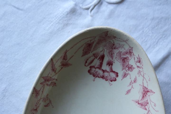 フランス　ヒルガオ　アンティーク　ラヴィエ　赤　Bordeaux