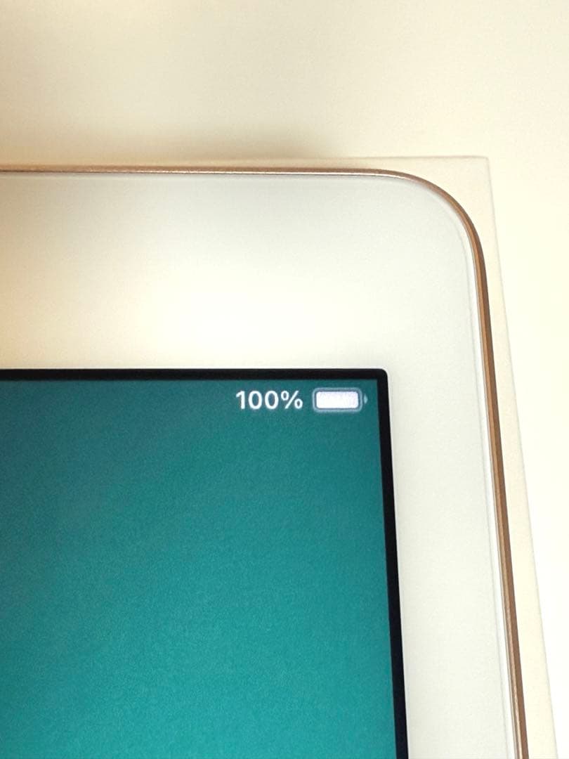 【美品】iPad 32GB ローズゴールド（第6世代） Wi-Fiモデル 稼動品