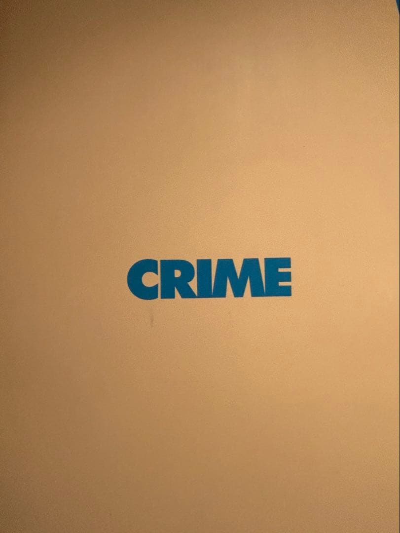 クライム　CRIME ツインロングフィッシュ　サーフボード　ソフトボード　美品