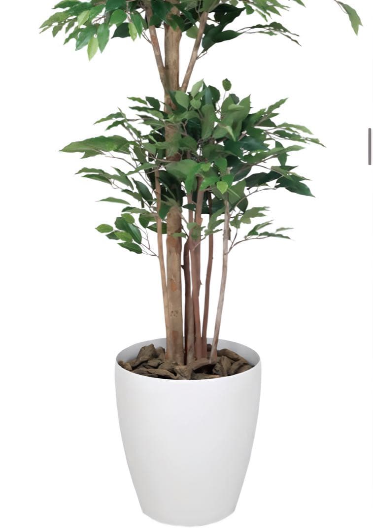 光触媒　人工観葉植物　フェイクグリーン　トロピカルベンジャミン 1.8m