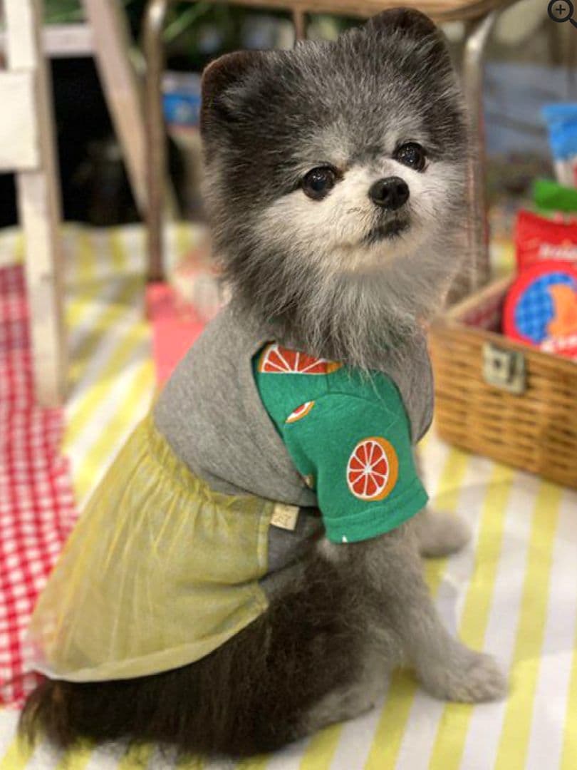 直営店限定2枚セット NC☆フレッシュORTasknowasdewan