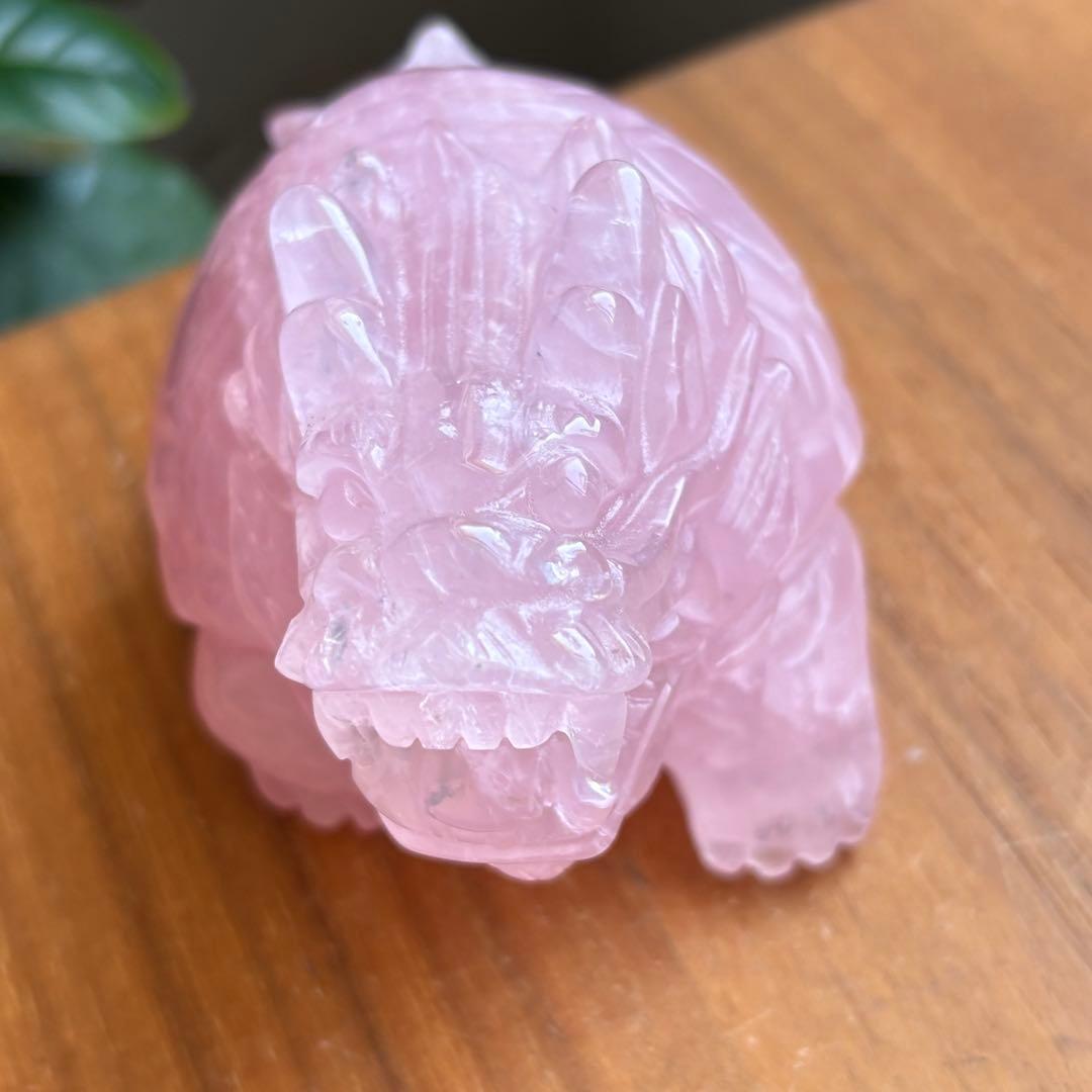 高品質 マダガスカル産 龍亀（ロングイ）置物490g