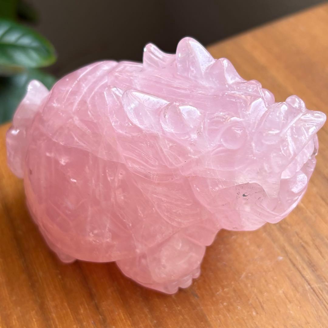 高品質 マダガスカル産 龍亀（ロングイ）置物490g