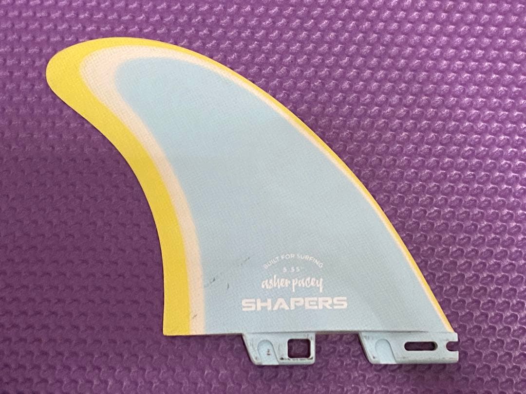 アッシャー・ペイシー fc2 ツインフィン